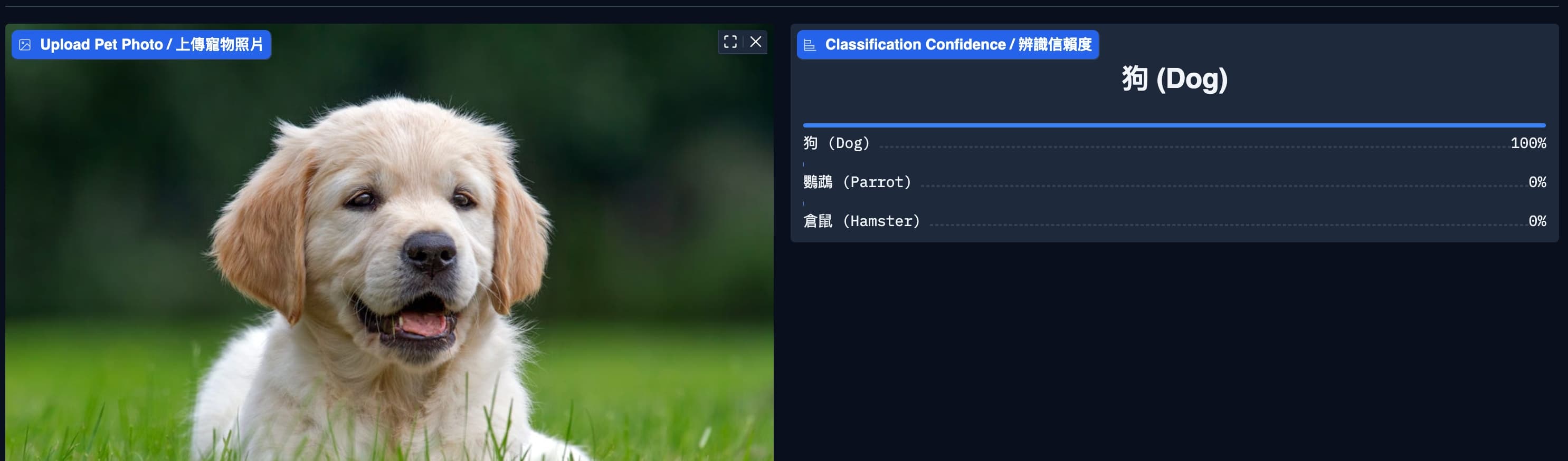 AI Pet Species Classifier